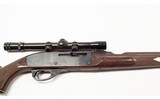 Remington~Nylon 66~.22 Long Rifle - 4 of 6