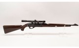 Remington~Nylon 66~.22 Long Rifle