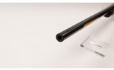 Browning~T-Bolt~.22 WMR - 6 of 6