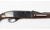 Remington~Nylon 66~.22 Long Rifle - 3 of 6