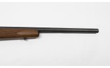 Savage~93~.22 WMR - 4 of 6