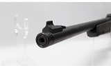 Winchester~Wildcat~.22 Long Rifle - 6 of 7
