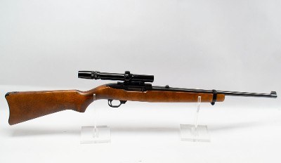 Ruger~10/22~.22 Long Rifle