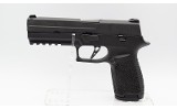 SIG Sauer~P250~.40 S&W - 2 of 4