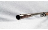Winchester~12~12 Gauge - 6 of 7
