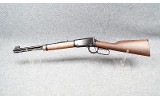 Henry ~ H001Y ~ .22 S, L, LR - 2 of 8