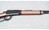 Henry ~ H001Y ~ .22 S, L, LR - 7 of 8