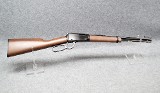 Henry ~ H001Y ~ .22 S, L, LR - 1 of 8