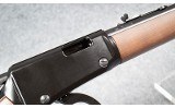 Henry ~ H001Y ~ .22 S, L, LR - 5 of 8