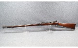 U.S. Springfield~1884~None - 2 of 7