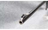 Charter Arms~AR-7~.22 Long Rifle - 6 of 6