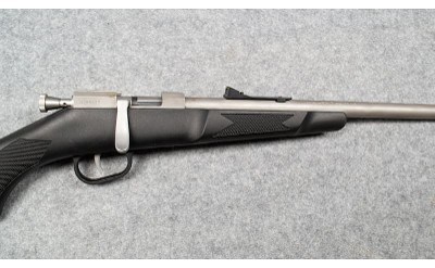 Henry~Mini-Bolt~.22 LR - Image 4 of 6