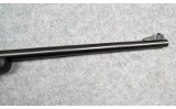 Crickett~Crickett~.22 S/L/LR - 5 of 7