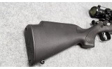 Crickett~Crickett~.22 S/L/LR - 3 of 7