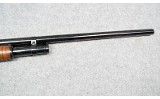 Winchester~1897~12 Gauge - 5 of 6