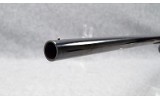 Winchester~1897~12 Gauge - 6 of 6