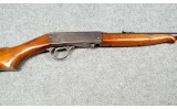 Remington~24~.22 LR - 4 of 6
