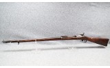 U.S. Springfield~1884~None - 2 of 7