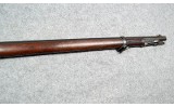 U.S. Springfield~1884~None - 5 of 7