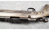 Ruger~American~.17 HMR - 6 of 6