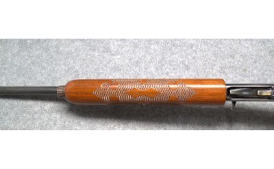 REMINGTON ARMS~ 1100 LT-20~20 Gauge - Image 5 of 7