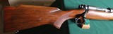 Winchester Pre-64 Model 70 in 243 HB Varmint - 4 of 11
