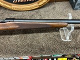 Winchester 70 Standard Varmint 243 win - 9 of 12