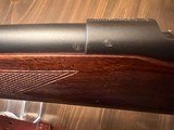 Winchester 70 Pre64 Standard Varmint 243 Win 1957 - 7 of 11