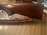 Winchester 70 Pre64 Standard Varmint 243 Win 1957 - 2 of 11