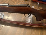Winchester 70 Pre64 Standard Varmint 243 Win 1957 - 3 of 11