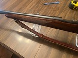 Winchester 70 Pre64 Standard Varmint 243 Win 1957 - 4 of 11