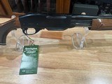 Remington Six 6mm rem NIB - 9 of 12