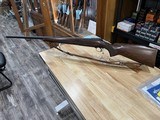 Winchester 70 Pre 64 Standard Varmint 243 win 1957