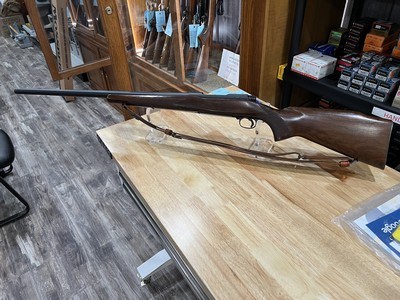 Winchester 70 Pre 64 Standard Varmint 243 win 1957
