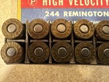 Peters High Velocity 244 Rem factory ammo - 5 of 6