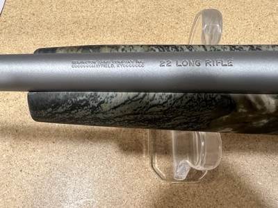 Remington 597 Limited Edition Dale Earnhardt JR #8 22 lr camo/ss NIB - Image 10 of 10