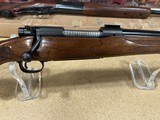 Winchester 70 Standard Varmint 225 Win 1965 - Image 7 of 8