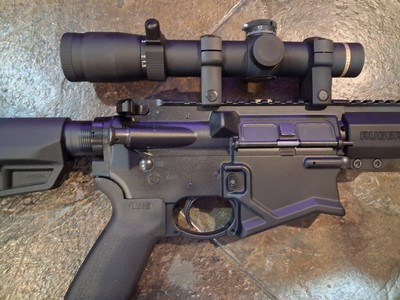 Ruger SFAR - Image 2 of 6