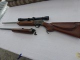 Custom Martini 219 D Wasp & 22 K Hornet