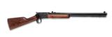 HENRY PUMP ACTION 22WMR 20 - 2 of 2