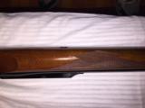 Ruger 22-250 varmint Rifle in excellent condition.
- 5 of 13