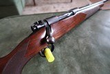 Winchester Model 70 243 WIN - 8 of 10