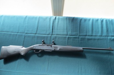 Remington Model 7400 in 243 Winchester