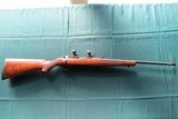 Ruger 77/22 in 22 Long Rifle
