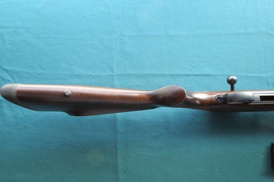 CZ 457 Lux in 17 HMR - Image 9 of 12