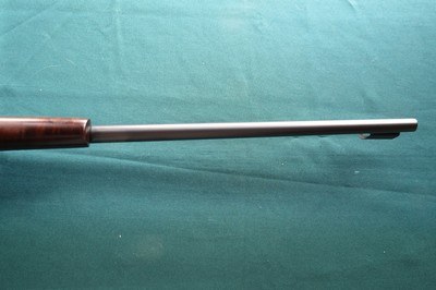 CZ 457 Lux in 17 HMR - Image 11 of 12