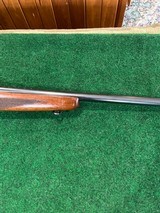 Remington 513 Sporter - 11 of 13