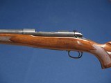 WINCHESTER 70 VARMINT PRE 64 243 - 4 of 7