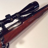 RUGER M 77
W/Scope,Timney trigger,6565Sing. L N,Exceptional value - 6 of 8