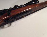 RUGER M 77
W/Scope,Timney trigger,6565Sing. L N,Exceptional value - 8 of 8